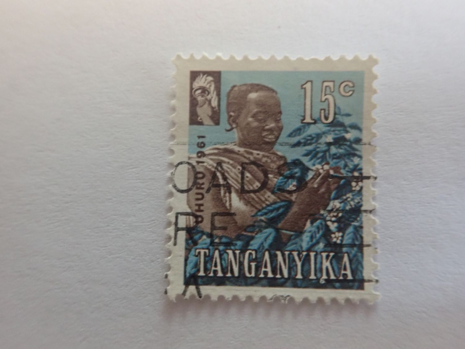 africa 0034