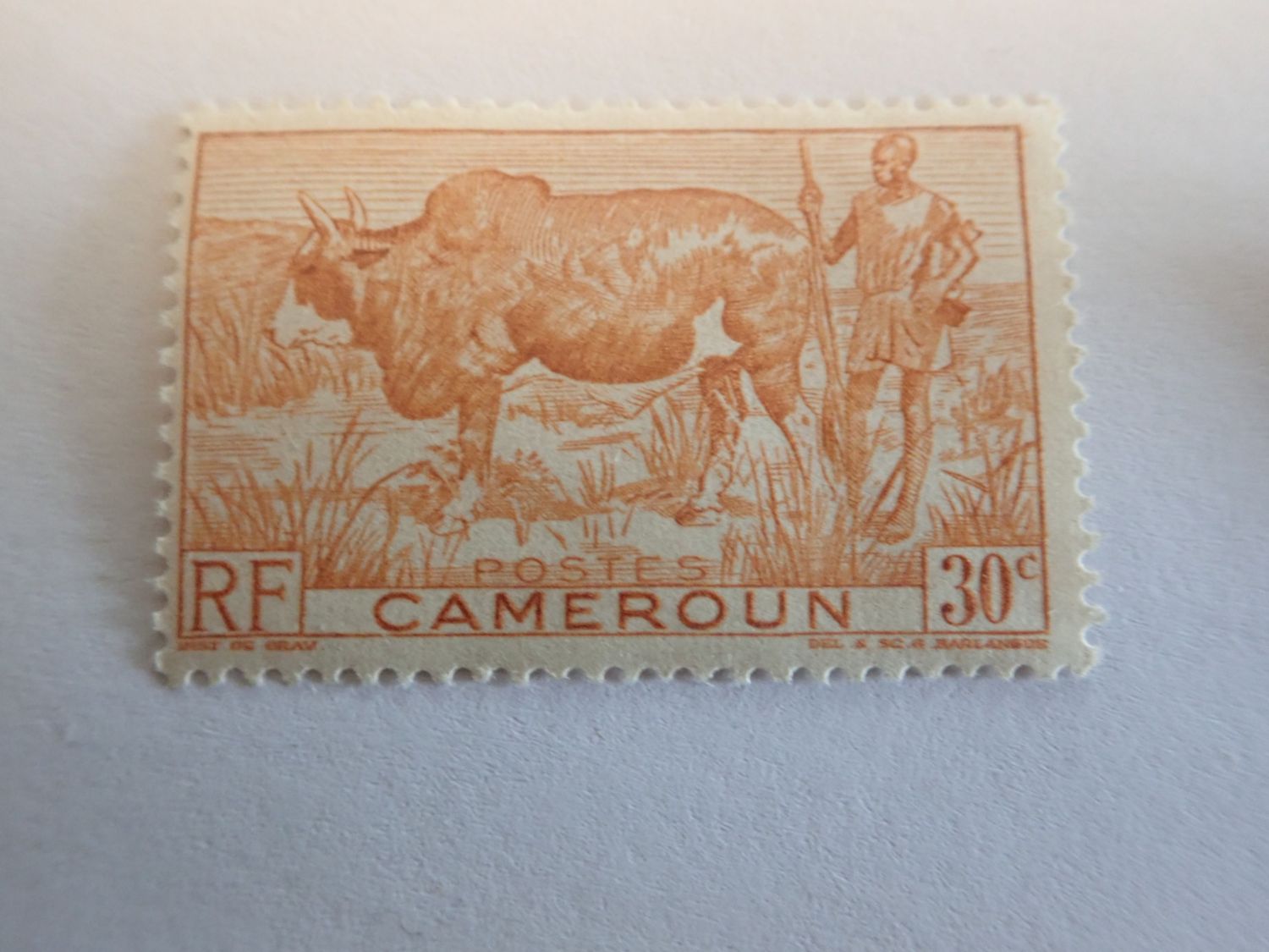africa 0051