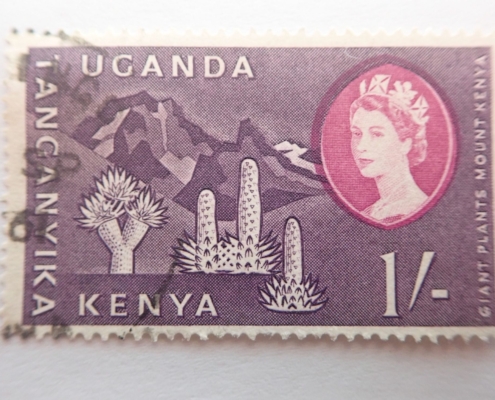 –, 1, Africa, Afrika, afrique, cactus, Frau, kaktus, kenya, tanganyika, uganda, used, violet, violett, woman