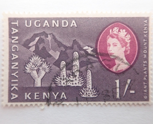 –, 1, Africa, Afrika, afrique, cactus, Frau, kaktus, kenya, tanganyika, uganda, used, violet, violett, woman