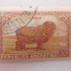 argentina 0061