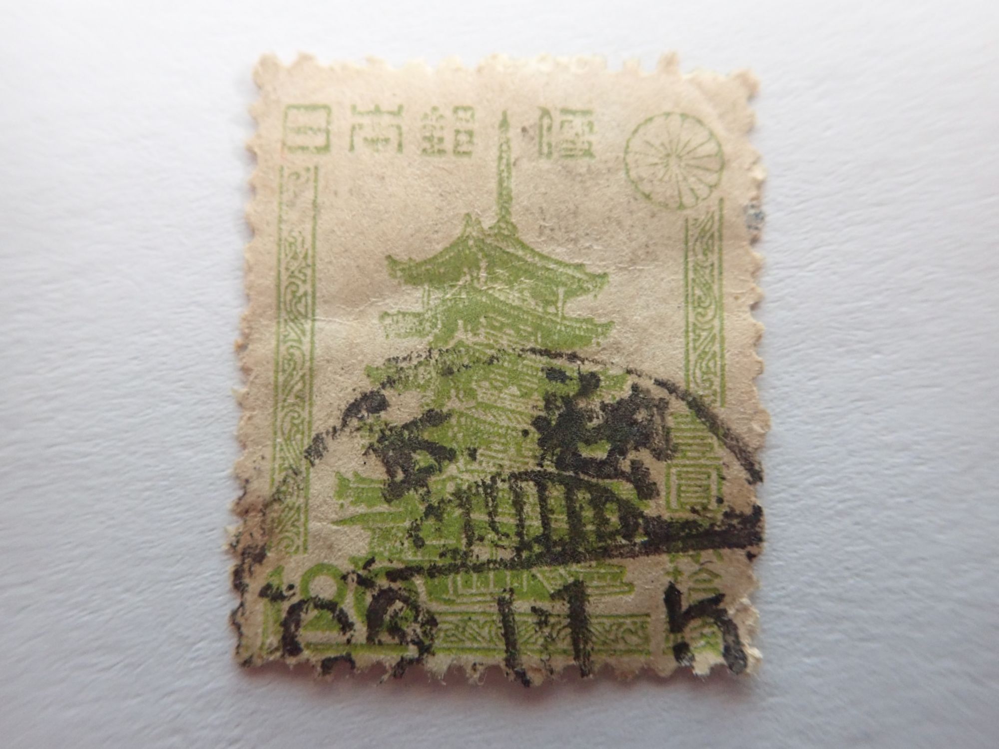 asia 0080