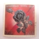cccp 0033