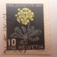 schweiz 0766