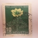 schweiz 0770
